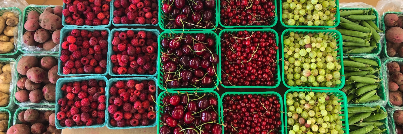 What's In Season