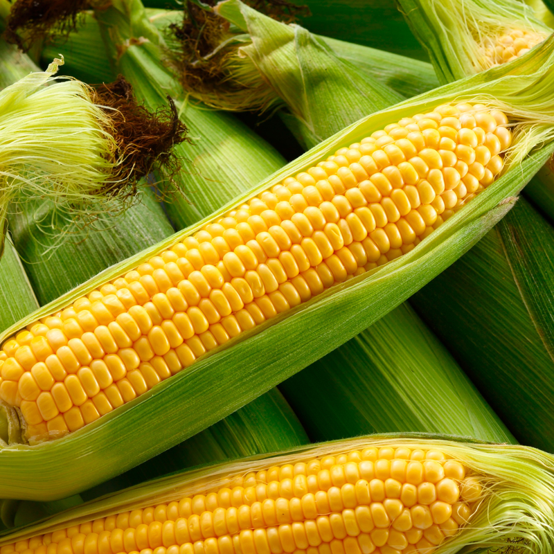 What's In Season